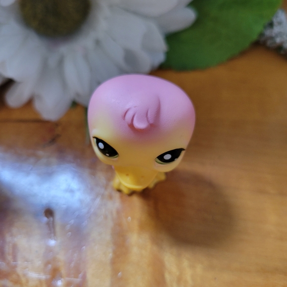 Littlest Pet Shop LPS #1002 Duck Pink Yellow Duckling Green Eyes Bird 2008 - Picture 6 of 10